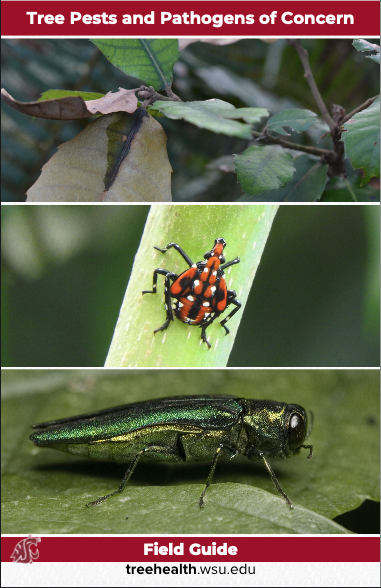 Field Guide Cover Photo